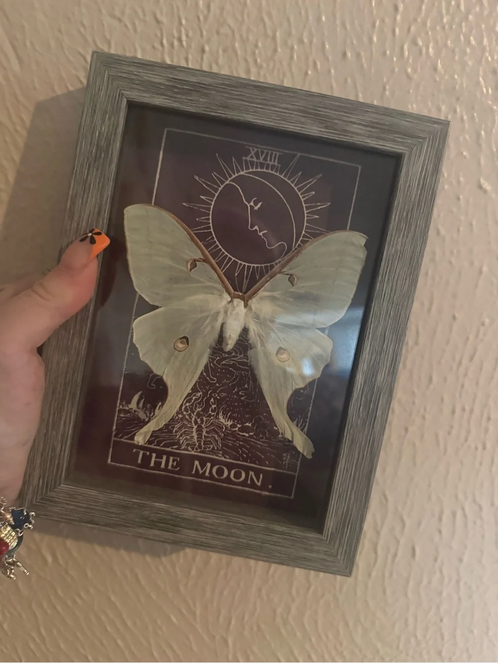 Framed Moon Tarot Art with Pale Green Luna Moth